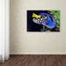 Trademark Fine Art 'Colorful Tropical Fish' by Kurt Shaffer Photographic Print Wrapped Canvas Metal | 22 H x 32 W x 2 D in | Wayfair KS130-C2232GG