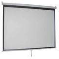 Vivo 49" x 87" Manual Projection Screen in White | 53 H x 90 W in | Wayfair PS-M-100