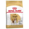 Royal Canin Beagle Adult Crocchette per cane - 12 kg