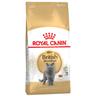 Royal Canin British Shorthair Adult Crocchette per gatto Set %: 2 x 10 kg