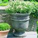 Campania International St. Remy Cast Stone Urn Planter Concrete, Copper in Green | 22 H x 18.5 W x 18.5 D in | Wayfair P-326-VE