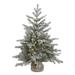 Vickerman 384084 - 36" x 28" Artificial Frosted Sable Pine 100 Clear Miniature Lights Christmas Tree (A156631)