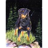 Caroline's Treasures Starry Night Rottweiler 2-Sided Polyester 40 x 28 in. House Flag in Black/Brown | 40 H x 28 W in | Wayfair SS8475CHF