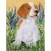 Caroline's Treasures Welsh Springer Spaniel 2-Sided Polyester 40 x 28 in. House Flag in Brown/Gray/Green | 40 H x 28 W in | Wayfair SS8219CHF