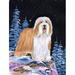 Caroline's Treasures Starry Night Bearded Collie 2-Sided Polyester 40 x 28 in. House Flag in Black/Pink | 40 H x 28 W in | Wayfair SS8451CHF