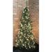 Santa's Workshop 6.5' Green Pine Artificial Christmas Tree w/ 250 Clear/White Lights in Green/White | 78 H x 28 W in | Wayfair 13500