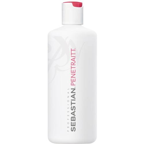 Sebastian Penetraitt Pro Masque 500 ml