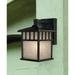 Dolan Designs Barton 11 Inch Tall 1 Light Outdoor Wall Light - 9110-68