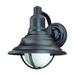 Dolan Designs Bayside 10 Inch Tall 1 Light Outdoor Wall Light - 9285-68