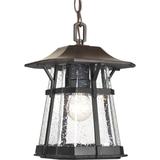 Progress Lighting Derby 12 Inch Tall 1 Light Outdoor Hanging Lantern - P5579-84