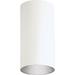 Progress Lighting Cylinder 6 Inch 1 Light Outdoor Flush Mount - P5741-30