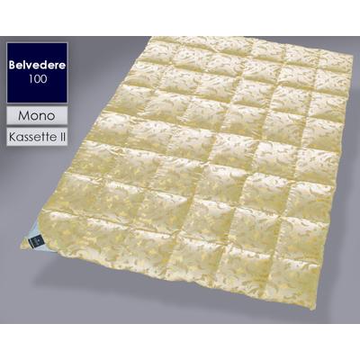 Billerbeck »100 Belvedere« Daunendecken Kassette II 155x200 cm 768g Image