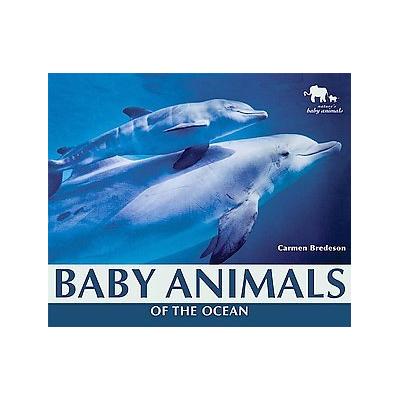 Baby Animals of the Ocean by Carmen Bredeson (Hardcover - Enslow Elementary)
