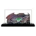 South Carolina Gamecocks 19" x 9" Light Up Stadium with Display Case