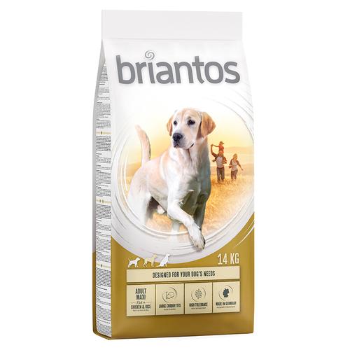 2x14kg Adult Maxi mit Huhn & Reis briantos Hundefutter trocken