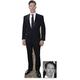 Fan Pack - Benedict Cumberbatch Lifesize Cardboard Cutout/Standee/standup - Includes 8x10 (20x25cm) Photo