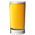 Arcoroc Elegance Half Pint HeadStart Hiball Glasses CE 10oz / 285ml - Case of 48 - CE Mark Beer Glasses