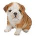 Hi-Line Gift Ltd. Sitting Bulldog Puppy Statue in Brown/White | 7 H x 6 W x 8 D in | Wayfair 87771-D