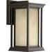 Progress Lighting P5610 Endicott Single Light 14-1/4 High Outdoor Wall Sconce with Clear Seeded Glass Shade
