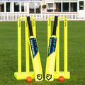 FORTRESS Garden Cricket Set - Available in 3 Sizes | Full Set or Half Set | Lightweight Cricket Equipment (Full Set, Junior (Size 5))