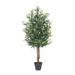 Vickerman 403181 - 50" Olive Tree in Pot (T161350) Olive Home Office Tree
