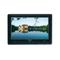 PHONOCAR Monitor 7' Widescreen Deckenmonitor VM173