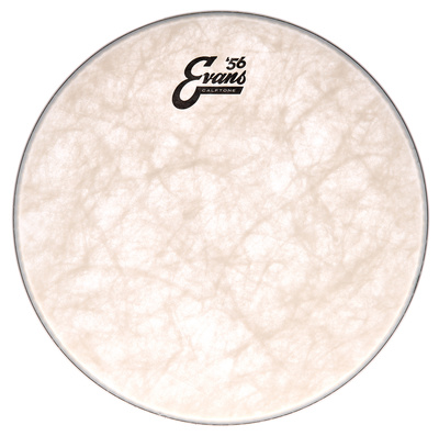 Evans 13" Calftone Tom