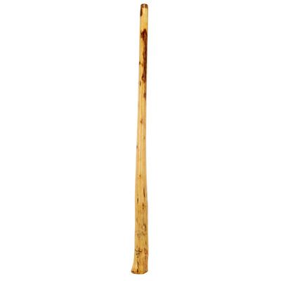 Thomann Didgeridoo Eucalyp. Proline D