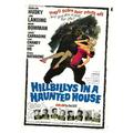 AB Posters Hillbillys In A Haunted House Movie Poster 11inx17in Mini Poster 11x17 poster Color Category: Multi Unframed Ages: Adults