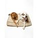B&G Martin Microsuede Foam & Faux Down Cushion Dog Bed Faux Suede/Memory Foam in Brown | 5 H x 24 W x 18 D in | Wayfair MSDB-120 XL Buck/Go-FA