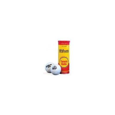 Wilson Anniversary Metal 100 Years Tennis Ball - 3 Ball Can