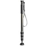 Gitzo GM2542 Series 2 Carbon Fiber Monopod GM2542