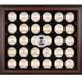 Washington Nationals Logo Brown Framed 30-Ball Display Case