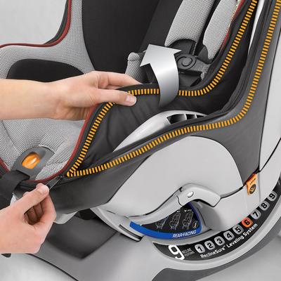 Car+Seats