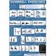 Fitness Poster Back And Core Dumbbell Exercises for Home use Laminated