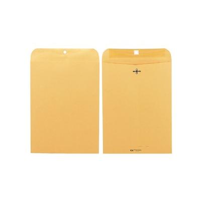 Clasp Envelope 100Ct - Manila Paper (9"X12"), Brown