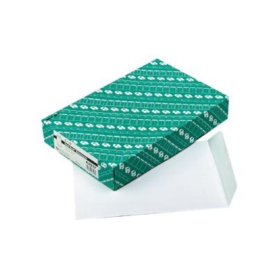 Redi-Seal Catalog Envelope - White, (100 Per Box)