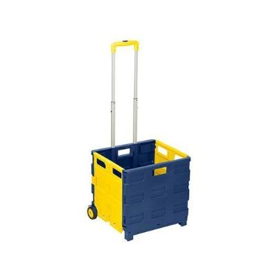 Rolling Folding Carryall Crate