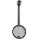 Deering Boston 6 String Banjo