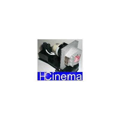 Ruby Lampe ACER P5280 Ruby-EC.J5500.001 / EC.J6200.001 Lampe Ruby Image