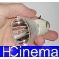 Nackte Osram Lampe OPTOMA HD141X Bulb-SP.8VH01GC01 / SP.73701GC01 / BL-FP190D Nackte Osram Lampe