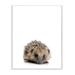 Stupell Industries Baby Hedgehog Studio Photo Wall Plaque Canvas in Brown | 15 H x 10 W x 0.5 D in | Wayfair brp-1824_wd_10x15