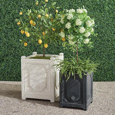 Chantal Planter - White, White 26" - Frontgate