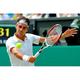 Roger Federer Poster backhand tennis 16in x 24in Poster Square Adults Western Graphic