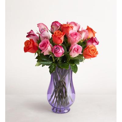 1-800-Flowers Flower Delivery Mother's Day Sorbet Roses 18 Stems W/ Purple Vase