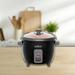 Salton 6 Cup Automatic Rice Cooker Metal | 7.8 H x 9.2 W x 8.2 D in | Wayfair RC1653