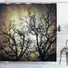 The Holiday Aisle® Horror Grunge Branches Twilight Single Shower Curtain Polyester | 84 H x 69 W in | Wayfair THLA1979 39393858