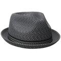 Bailey of Hollywood Mannes Trilby Hat, Blue (Navy Multi), Medium