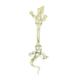 14ct Yellow Gold CZ Cubic Zirconia Simulated Diamond 14 Gauge Lizard Body Jewelry Belly Ring Measures 36x11mm Jewelry Gifts for Women