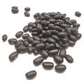 Black Turtle Beans - Take the Taste Test - SPICESontheWEB (10kg)